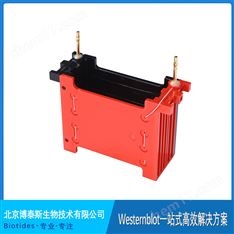 Biotides博泰斯 轉(zhuǎn)印框 2塊膠