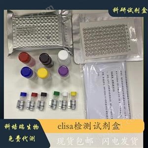小鼠染色質(zhì)域解旋酶DNA結(jié)合蛋白4(CHD4)elisa試劑盒KPR-H20605