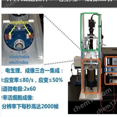 皮膚劃傷力學測試系統(tǒng)