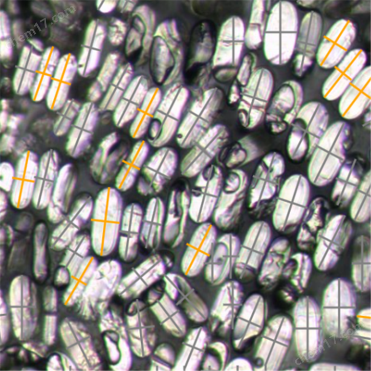 纖維橫截面智能報告系統(tǒng)