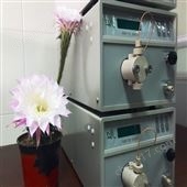 CoM6000PCR農(nóng)殘檢測柱后衍生裝置