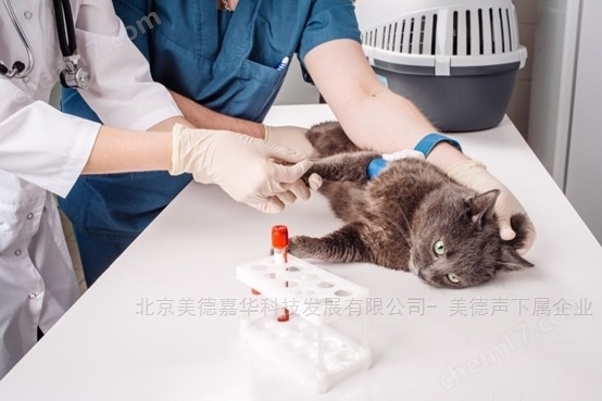 美德聲貓血型鑒定產品