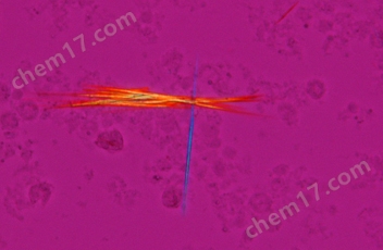 尼康生物顯微鏡CI-L十一月介紹