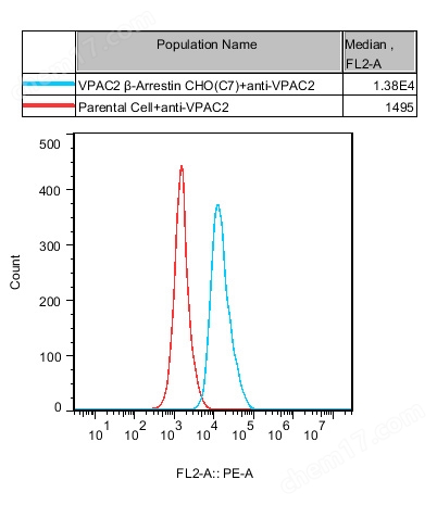 VPAC2 β-Arrestin CHO