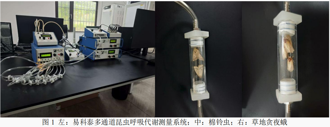 易科泰多通道昆蟲呼吸代謝測量系統在農科院植保所