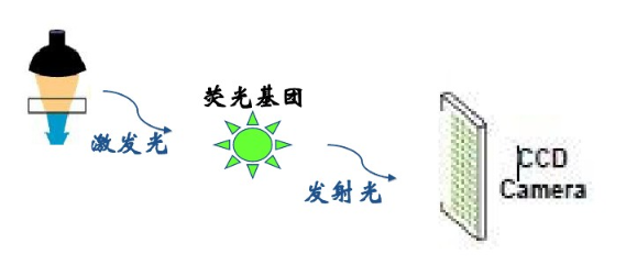 圖片725.png