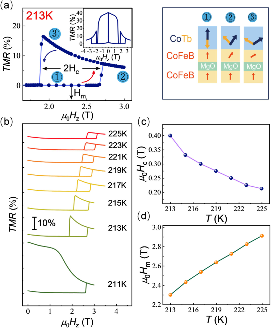 客戶成果丨同濟(jì)大學(xué)《Advanced Functional Materials》