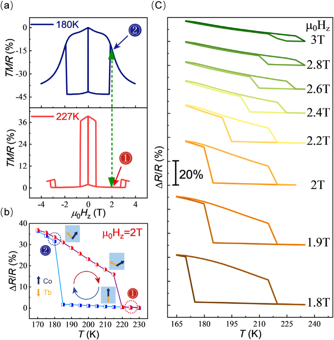 客戶成果丨同濟(jì)大學(xué)《Advanced Functional Materials》