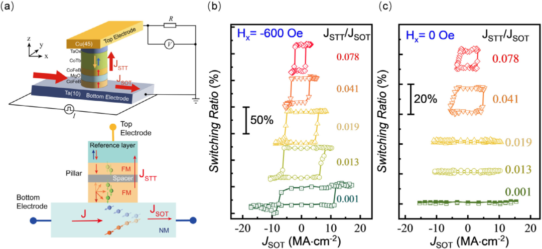 客戶成果丨同濟(jì)大學(xué)《Advanced Functional Materials》