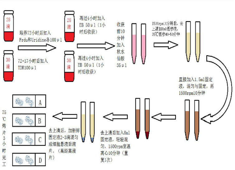 圖片1.png