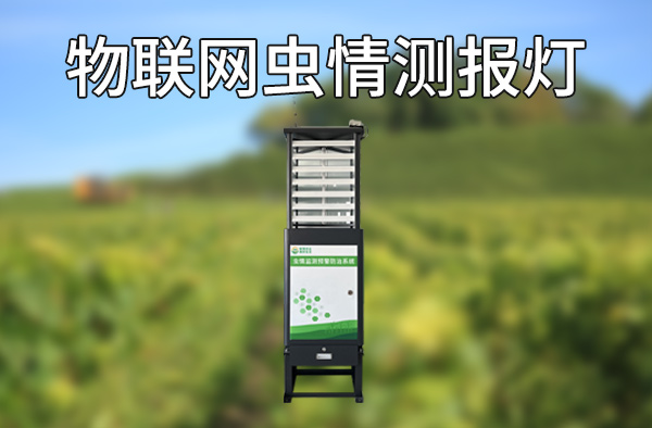 自动识别，实时预警，物联网虫情测报灯助力田间生产