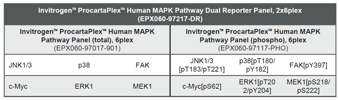 突破神經(jīng)生物學(xué)研究瓶頸？這款多重檢測方案值得關(guān)注！