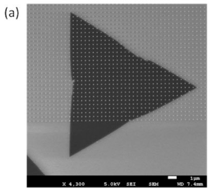 行业应用 显微角分辨光谱