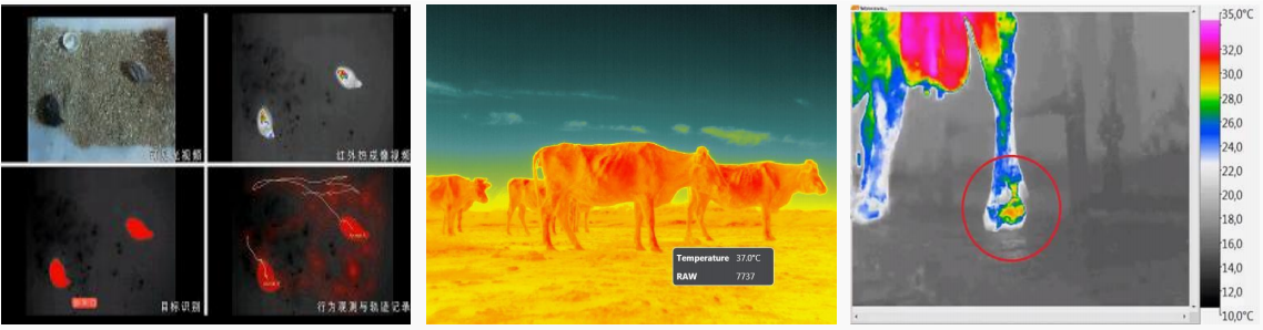 北京易科泰祝賀家畜環(huán)境衛(wèi)生學(xué)分會(huì)2025學(xué)術(shù)研討會(huì)圓滿收官