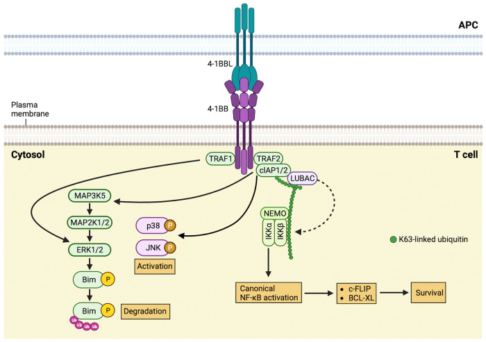 圖片2.png 圖片2.png