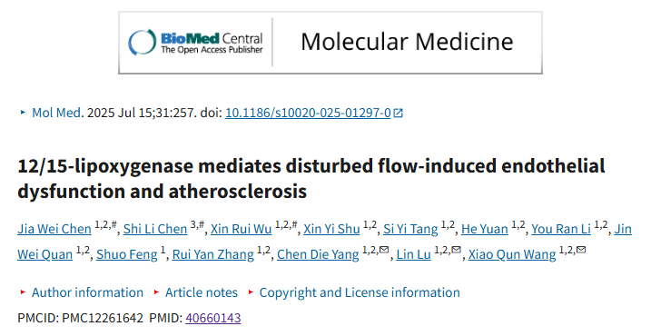 12/15-脂氧合酶介导血流紊乱诱导的内皮功能障碍与动脉粥样硬化