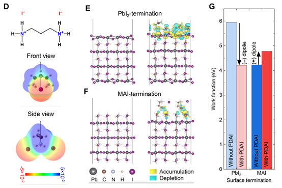 圖片17.png QFLS成像顯示PDAI均勻化 突破33.1% PCE