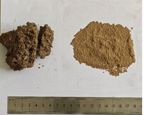 圖片包含 蛋糕, 片, 巧克力, 照片AI 生成的內(nèi)容可能不正確。