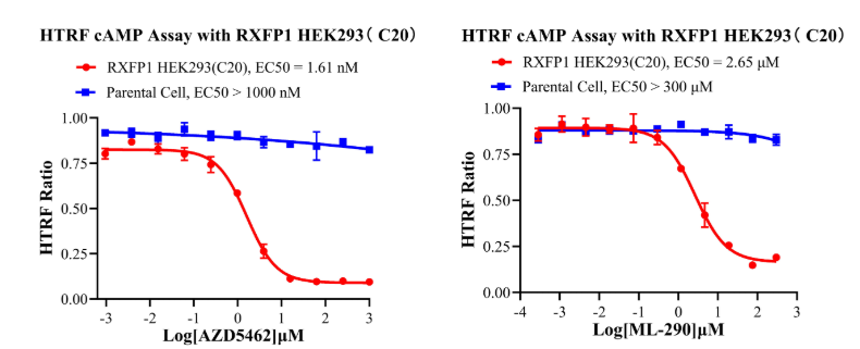 图片6.png 图片6.png