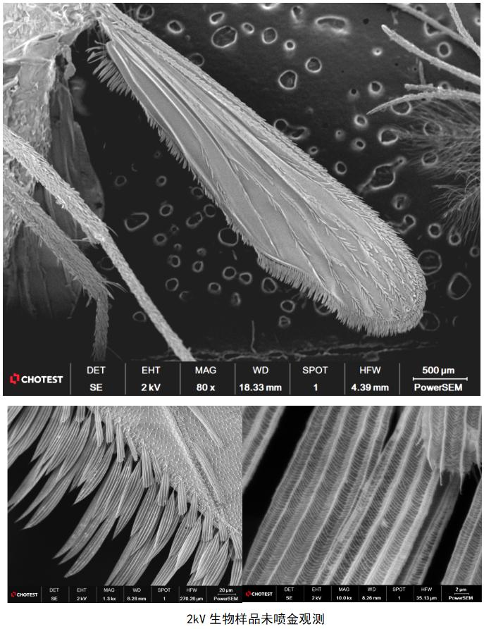 圖片2.jpg 圖片2.jpg