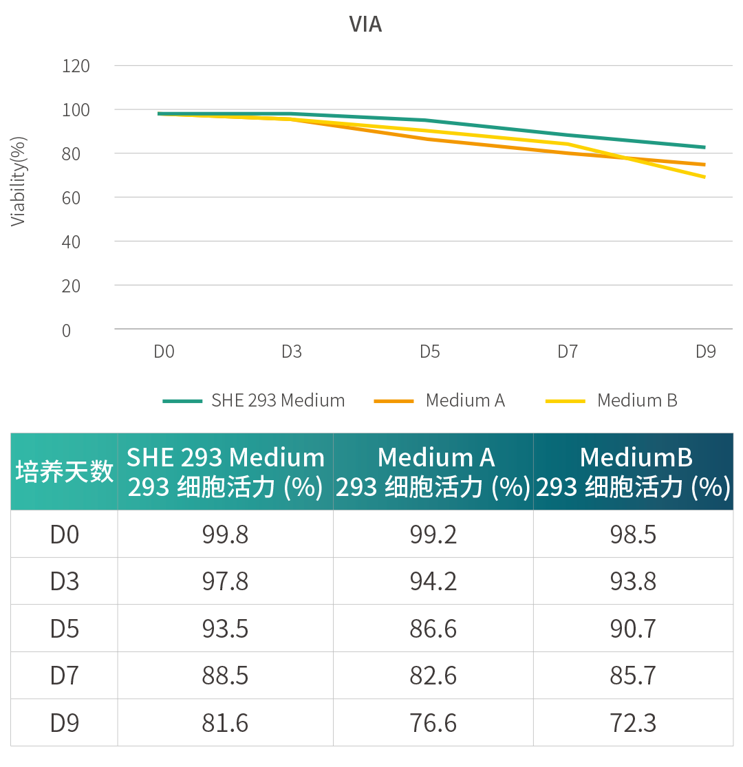 Cesuper®293懸浮細(xì)胞瞬時蛋白/抗體表達(dá)試劑盒，讓您的蛋白/抗體速速表達(dá)！