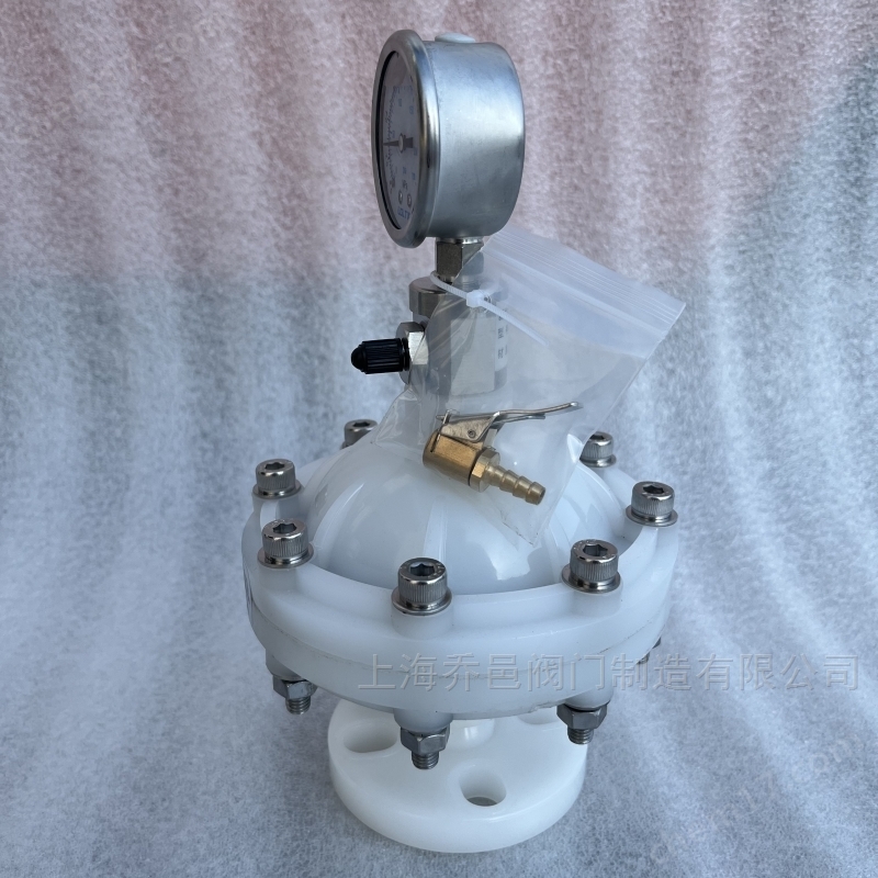 LGMZ-V0.35L膜片式脉冲阻尼器PVDF