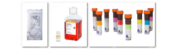 德国Miltenyi Biotec试剂、耗材 产品介绍