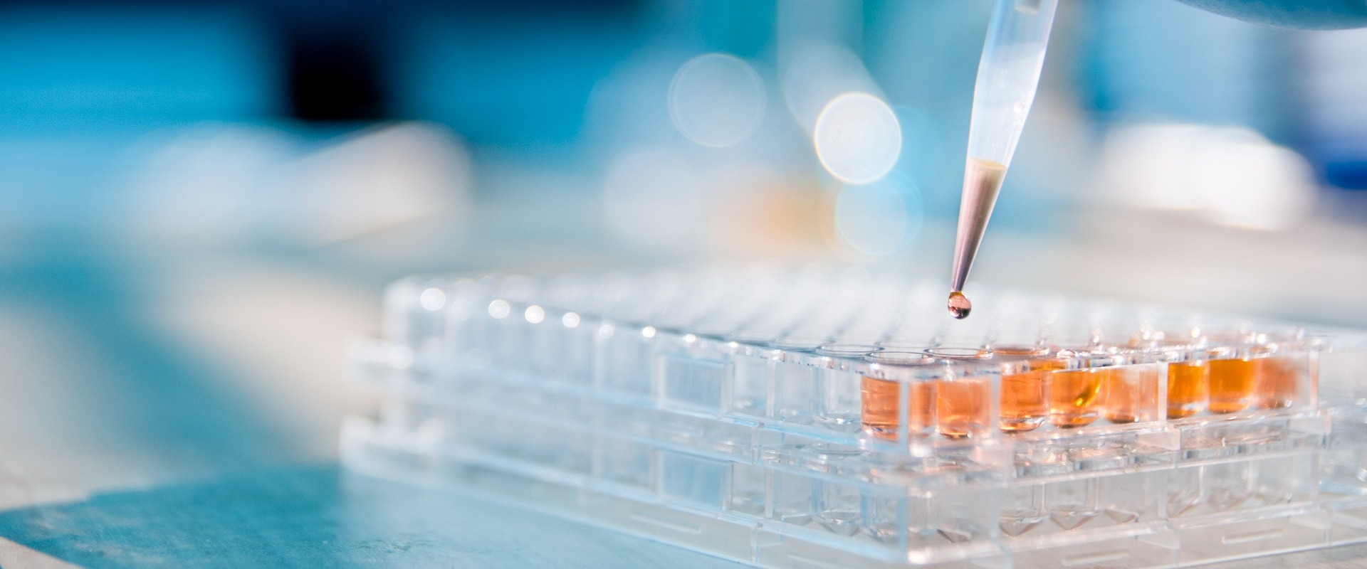 土耳其Matriks Biotek代理商 2026授权代理-优米体育网站下载