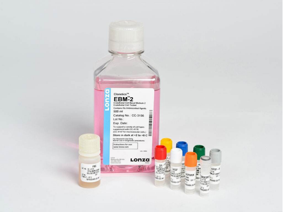 LONZA原代人主动脉内皮细胞HAEC, Human Aortic Endothelial Cells产品介绍