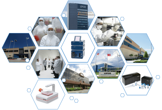 LONZA原代人表皮角質形成細胞NHEK, Human Epidermal Keratinocytes產品介紹