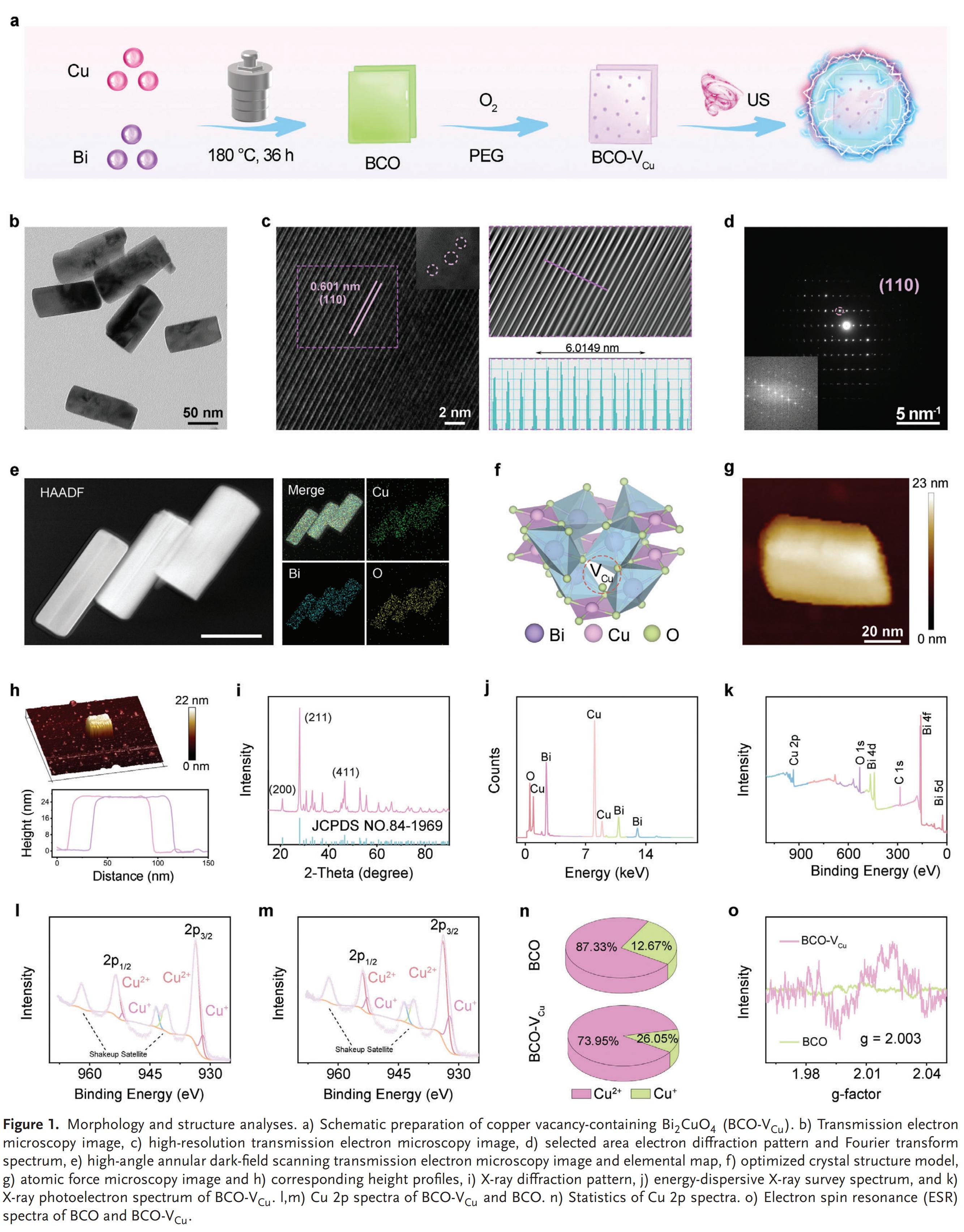 科研加油站 | 铁纳米材料用于细胞铜死亡