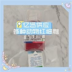 多濃度大鼠紅細(xì)胞