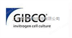 16250-078胎牛血清|Gibco 血清|超低IgG胎牛血清
