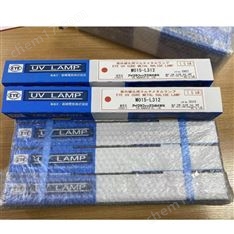 現貨!!原裝原廠EYE巖崎紫外線固化燈！