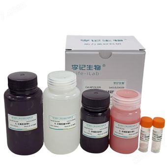 AP15L515PAGE預混快速凝膠試劑盒