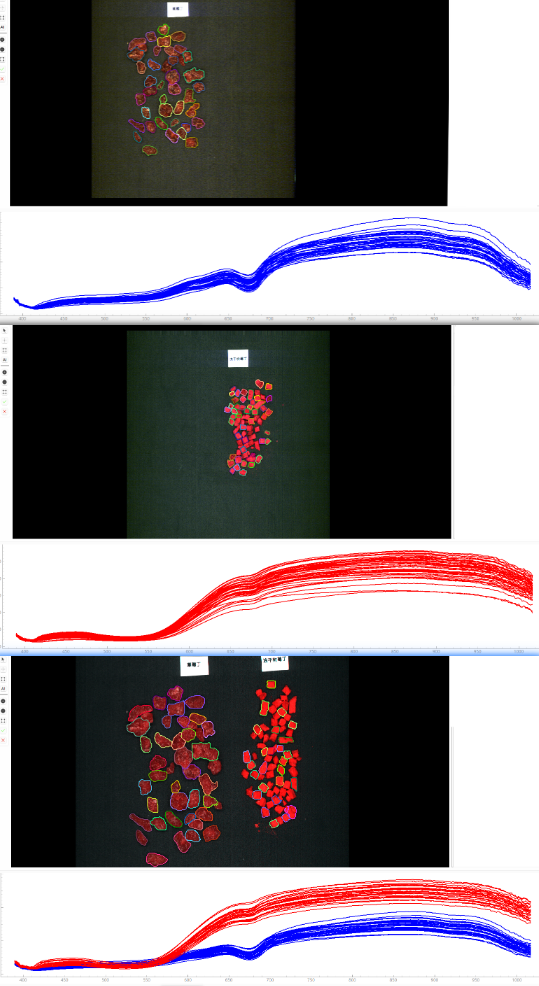 采集草莓丁和凍干樹莓丁高光譜數(shù)據(jù)