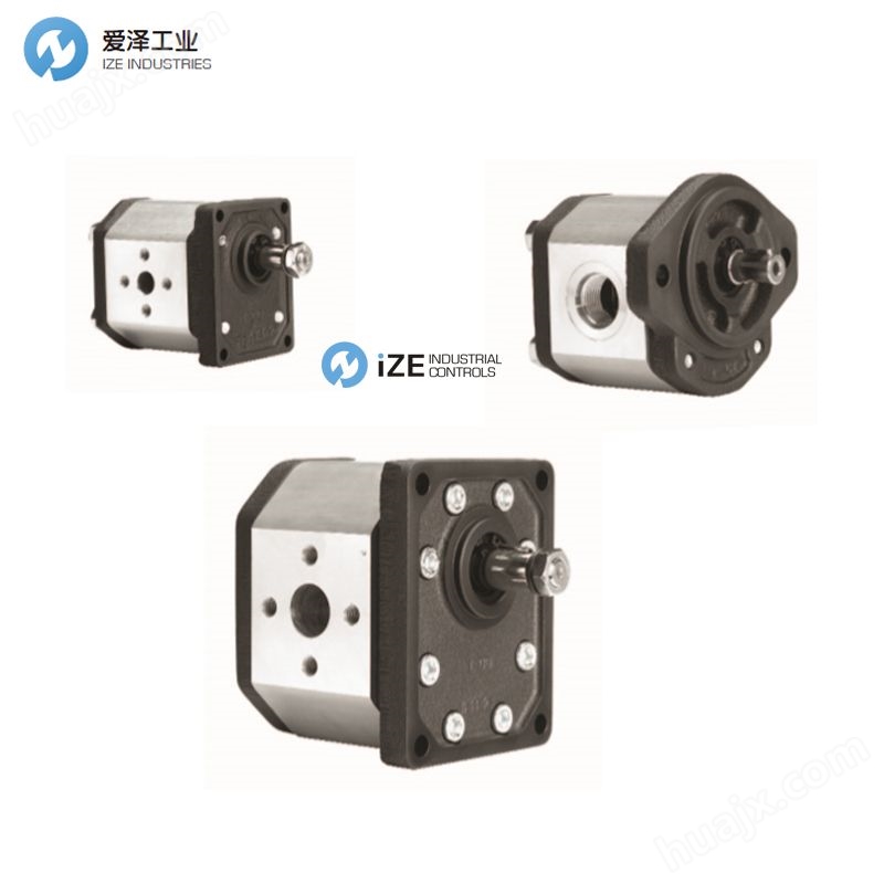 MARZOCCHI齿轮泵GHP系列 爱泽工业izeindustries.jpg MARZOCCHI泵ALPA3-D-60