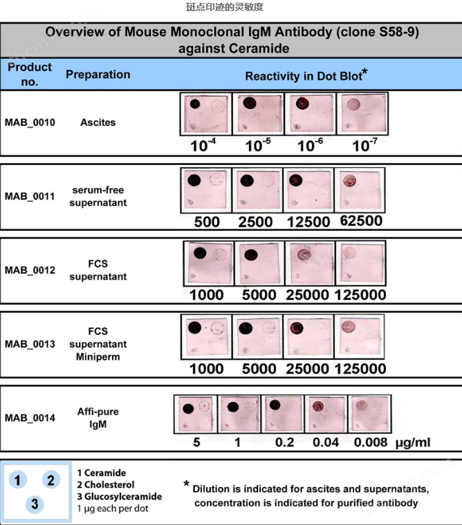 glycobiotech:Monoclonal antibody against ceramide